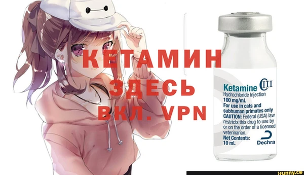 твердый Абаза